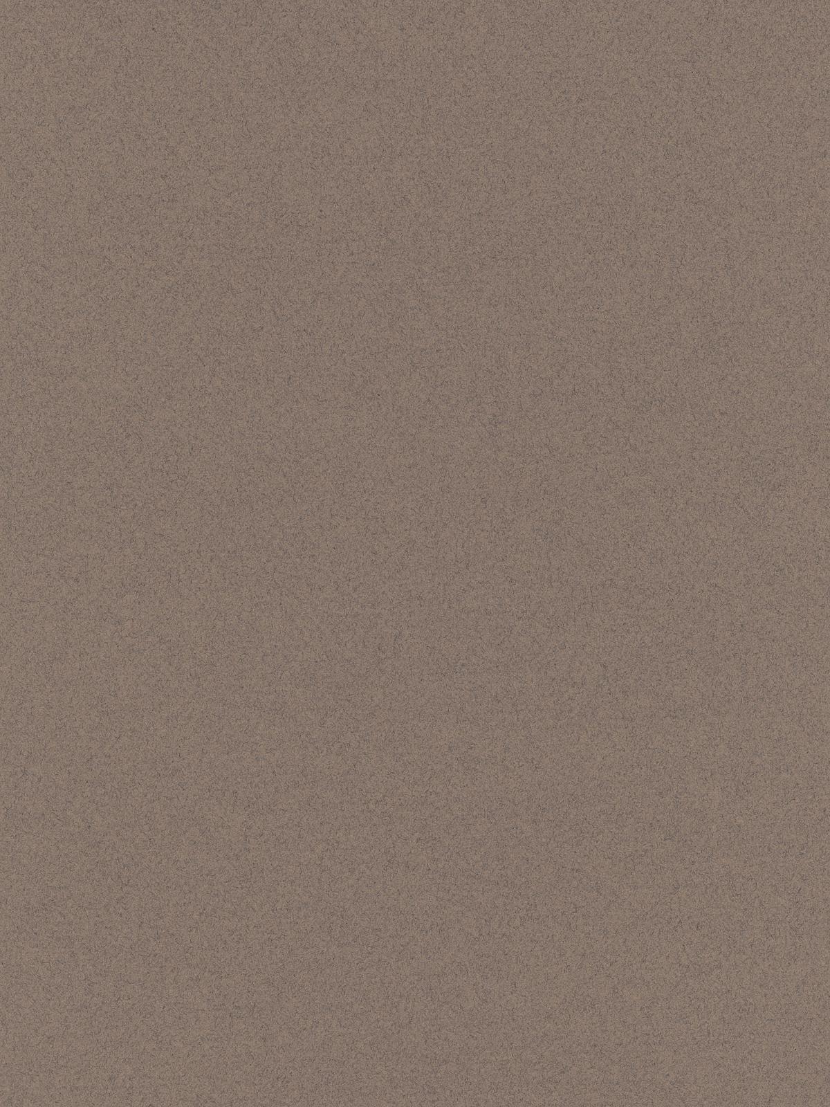 Mi-Teintes Tinted Paper felt grey 8.5 in. x 11 in.