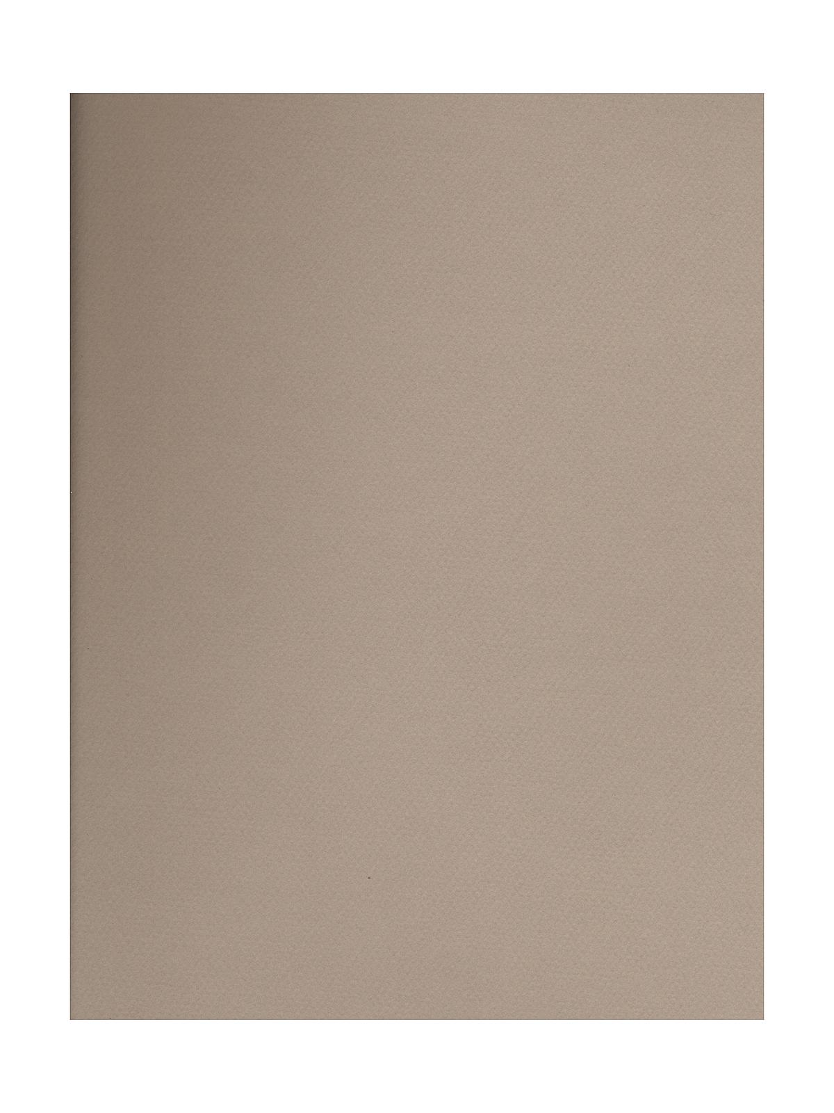 Mi-Teintes Tinted Paper pearl 19 in. x 25 in.