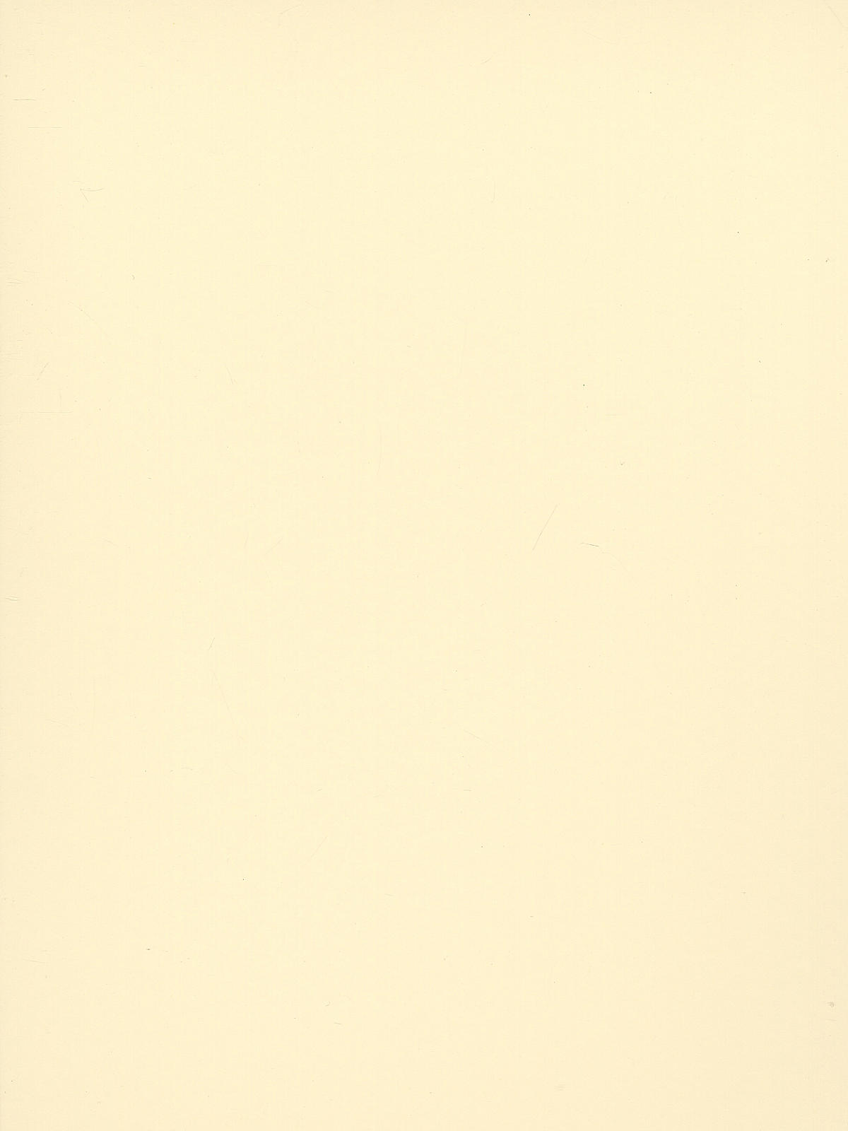 Coventry Rag Printmaking Paper 23 In. X 30 In. White Sheet