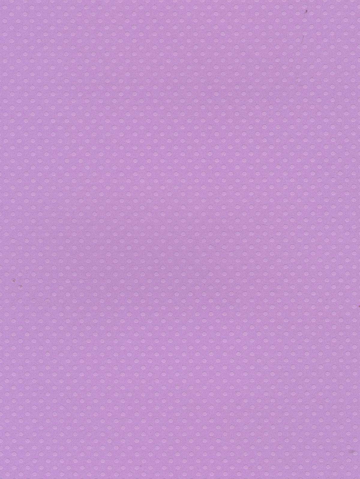Dotted Swiss 80 Lb. Cardstock 8 1 2 In. X 11 In. Sheet Berry Pretty