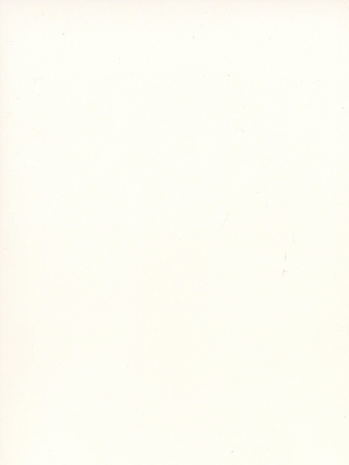 400 Series Bristol Sheets smooth 2 ply