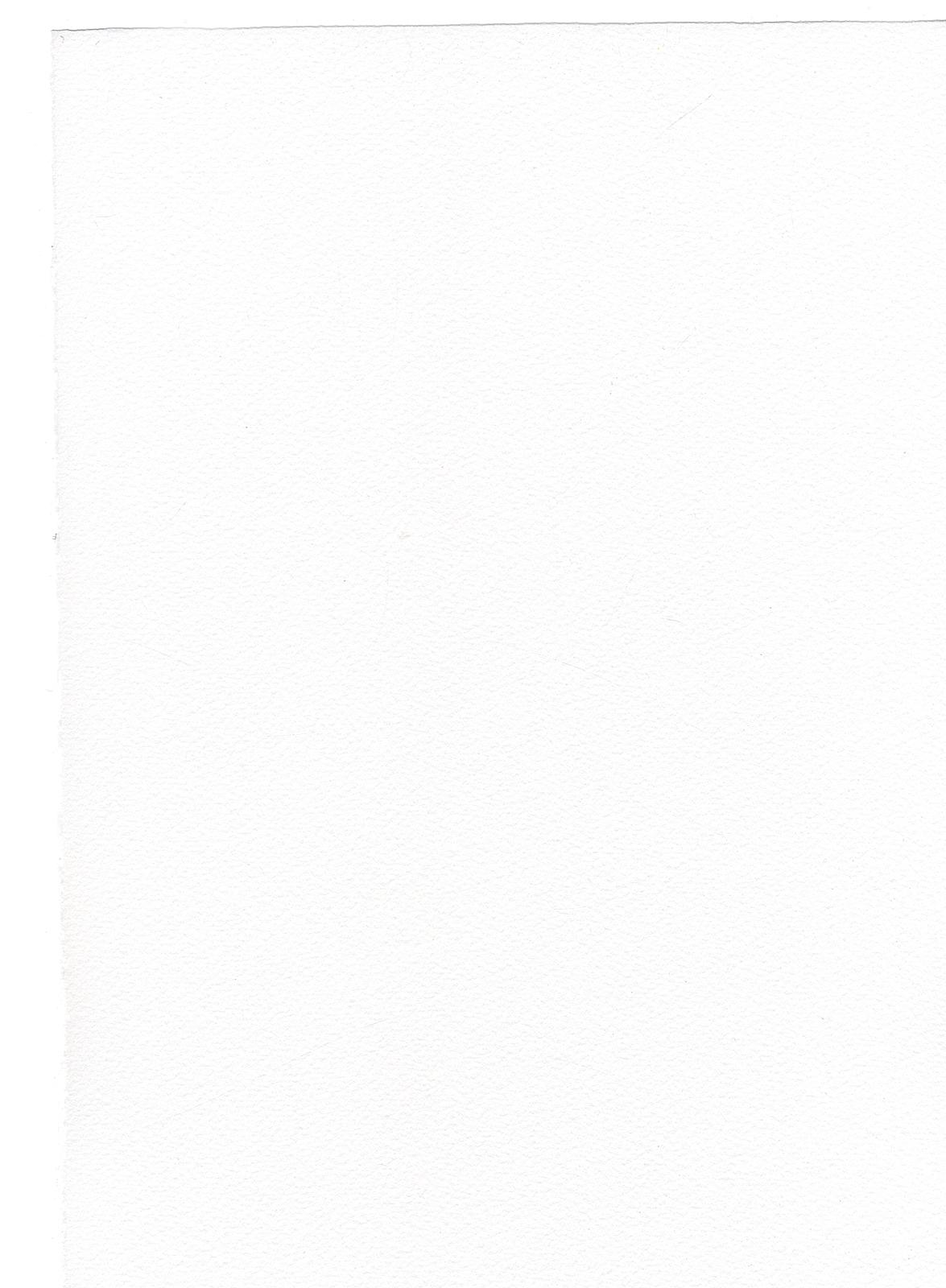 Watercolor Paper 90 Lb. Cold Press White 22 In. X 30 In. Sheet