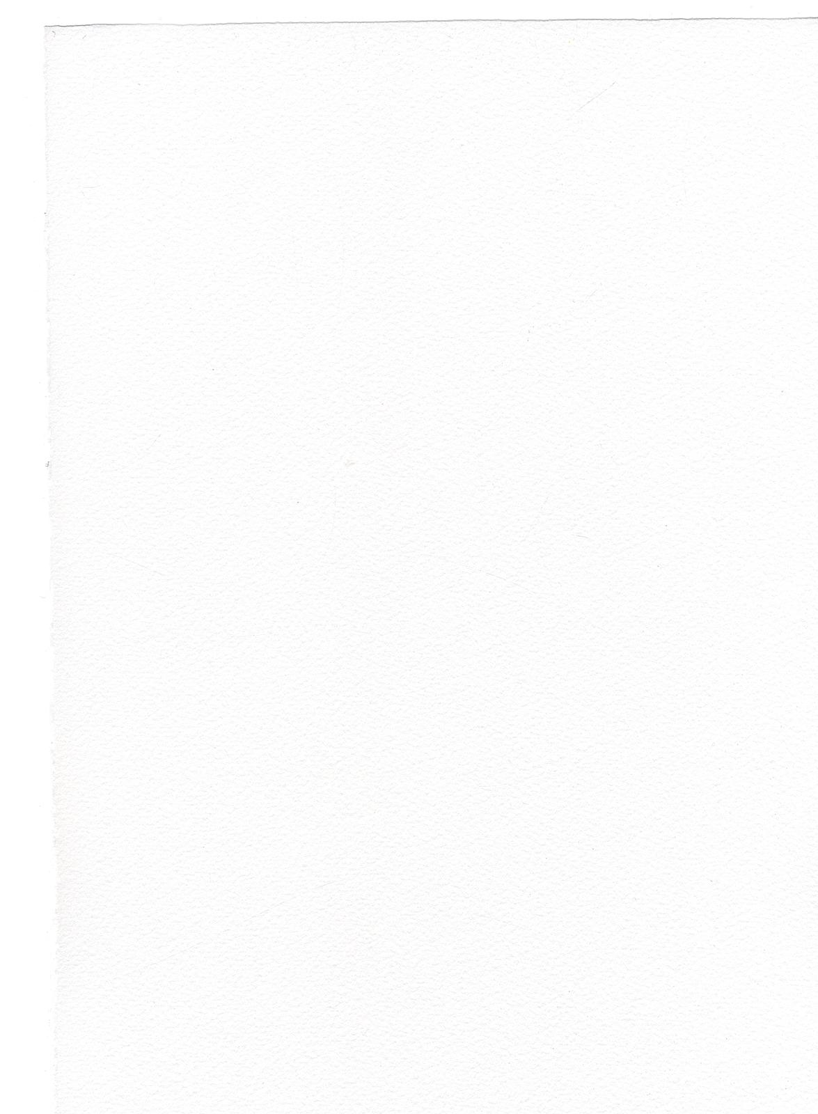 Watercolor Paper 90 lb. cold press white 22 in. x 30 in. sheet