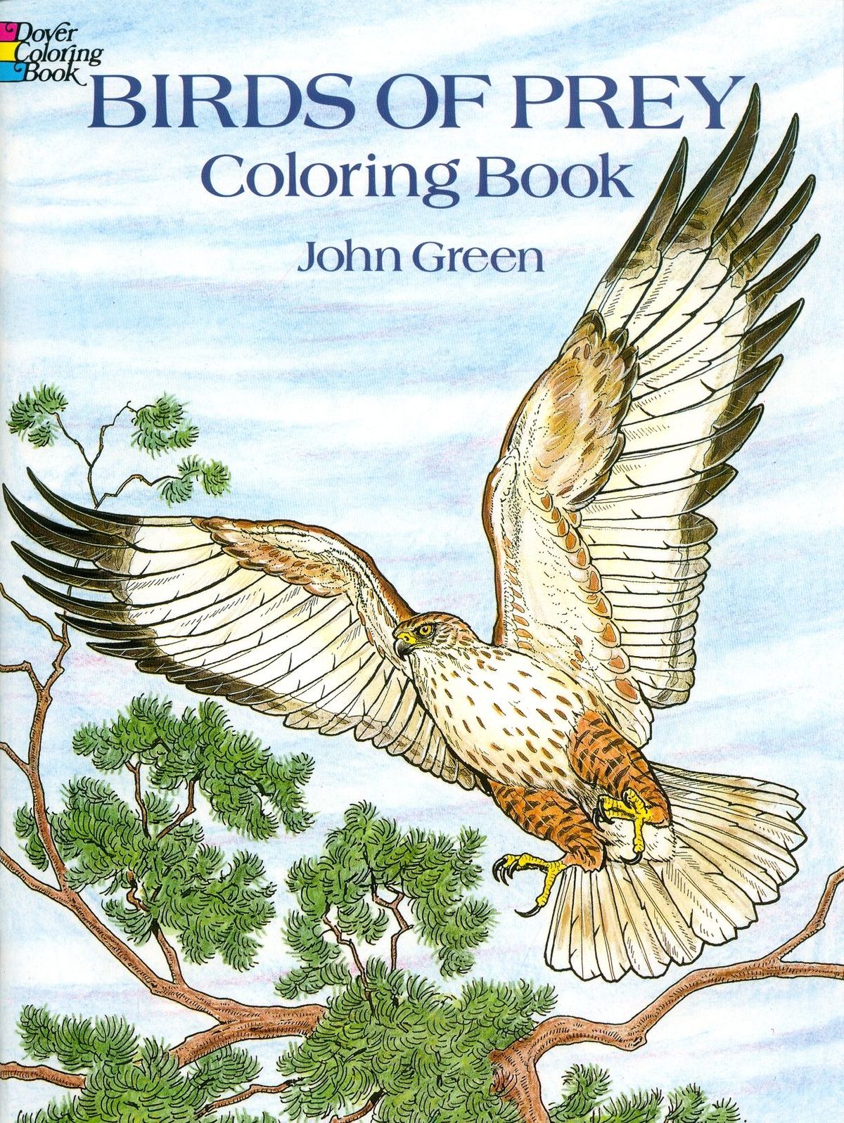 Birds Of Prey Coloring Book Birds Of Prey Coloring Book