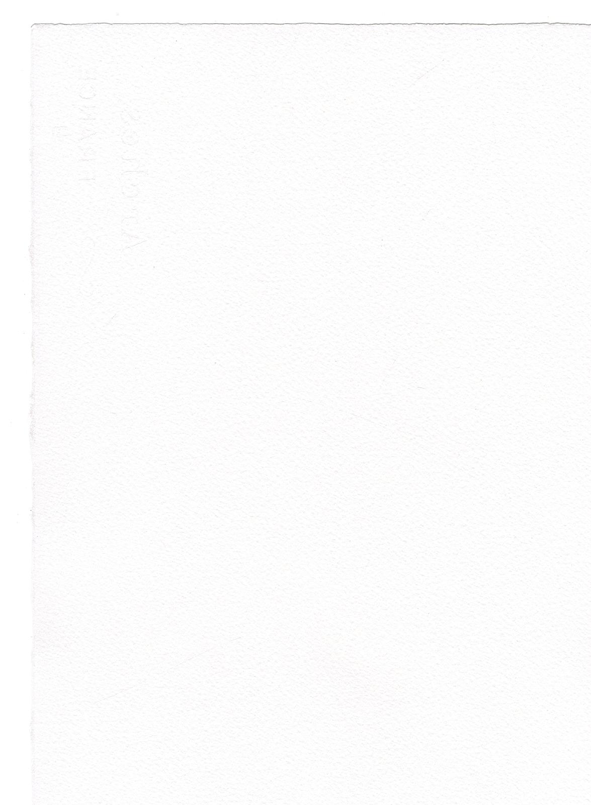 Watercolor Paper 90 lb. rough white 22 in. x 30 in. sheet