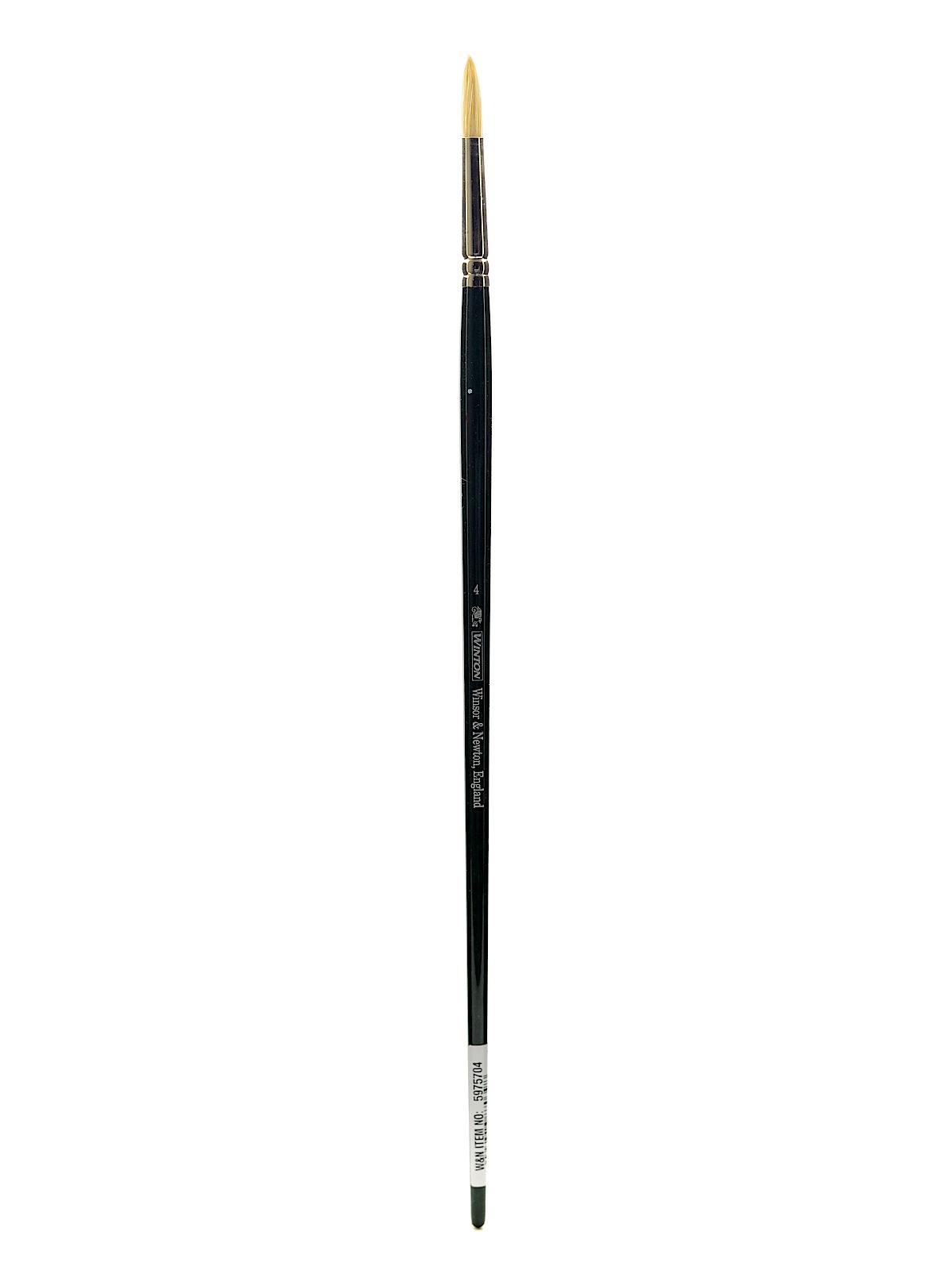 Winton Hog Brushes 4 round