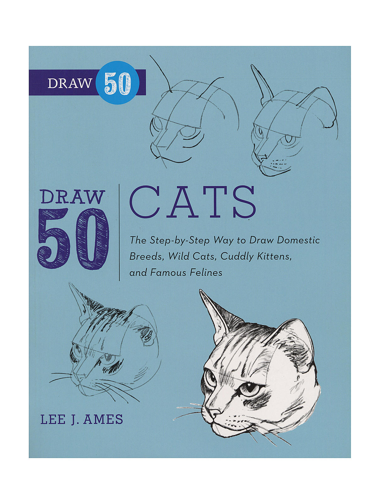 The Draw 50 Series Cats
