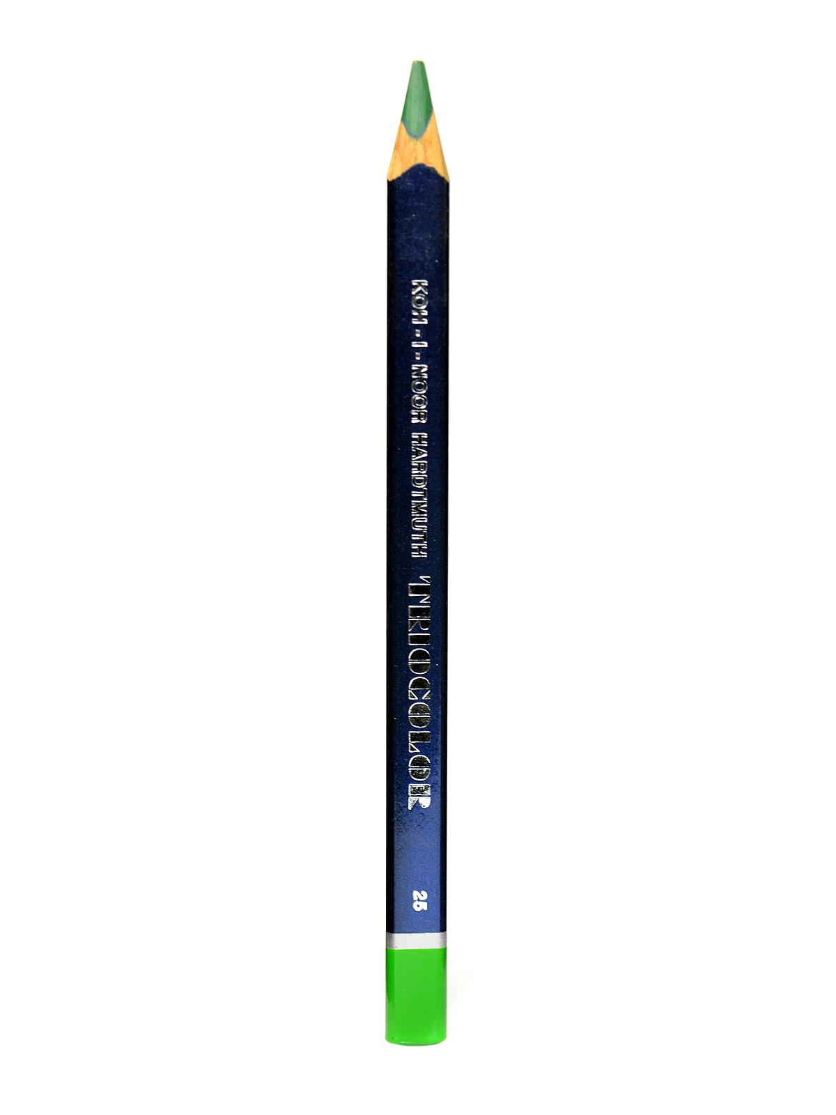 Triocolor Grand Drawing Pencils grass green