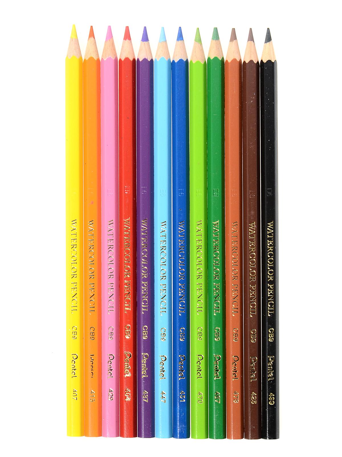 Arts Watercolor Pencils Set Of 12