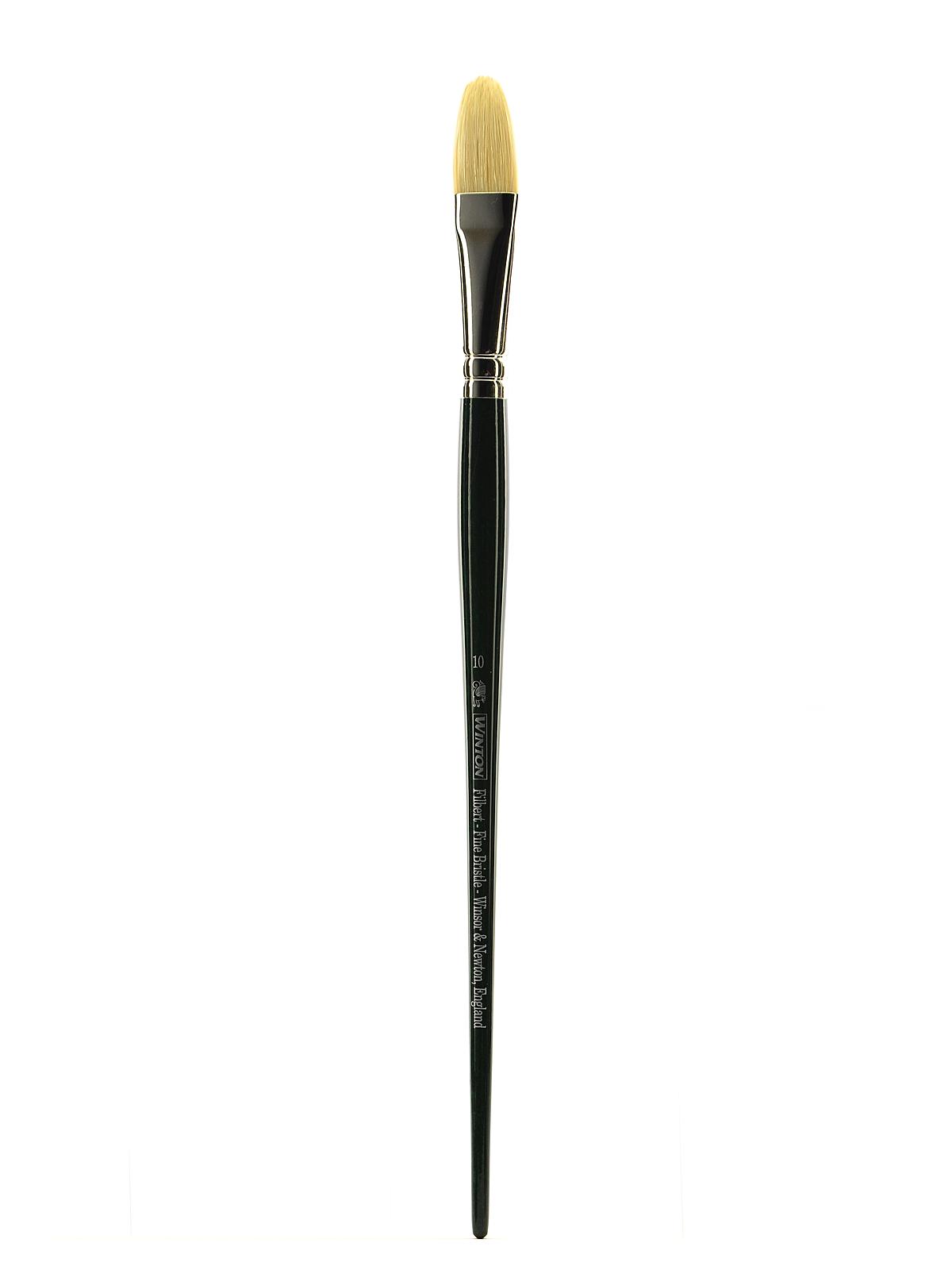 Winton Hog Brushes 10 filbert