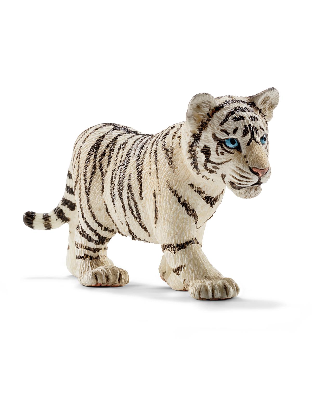 Wild Life Animals tiger cub, white