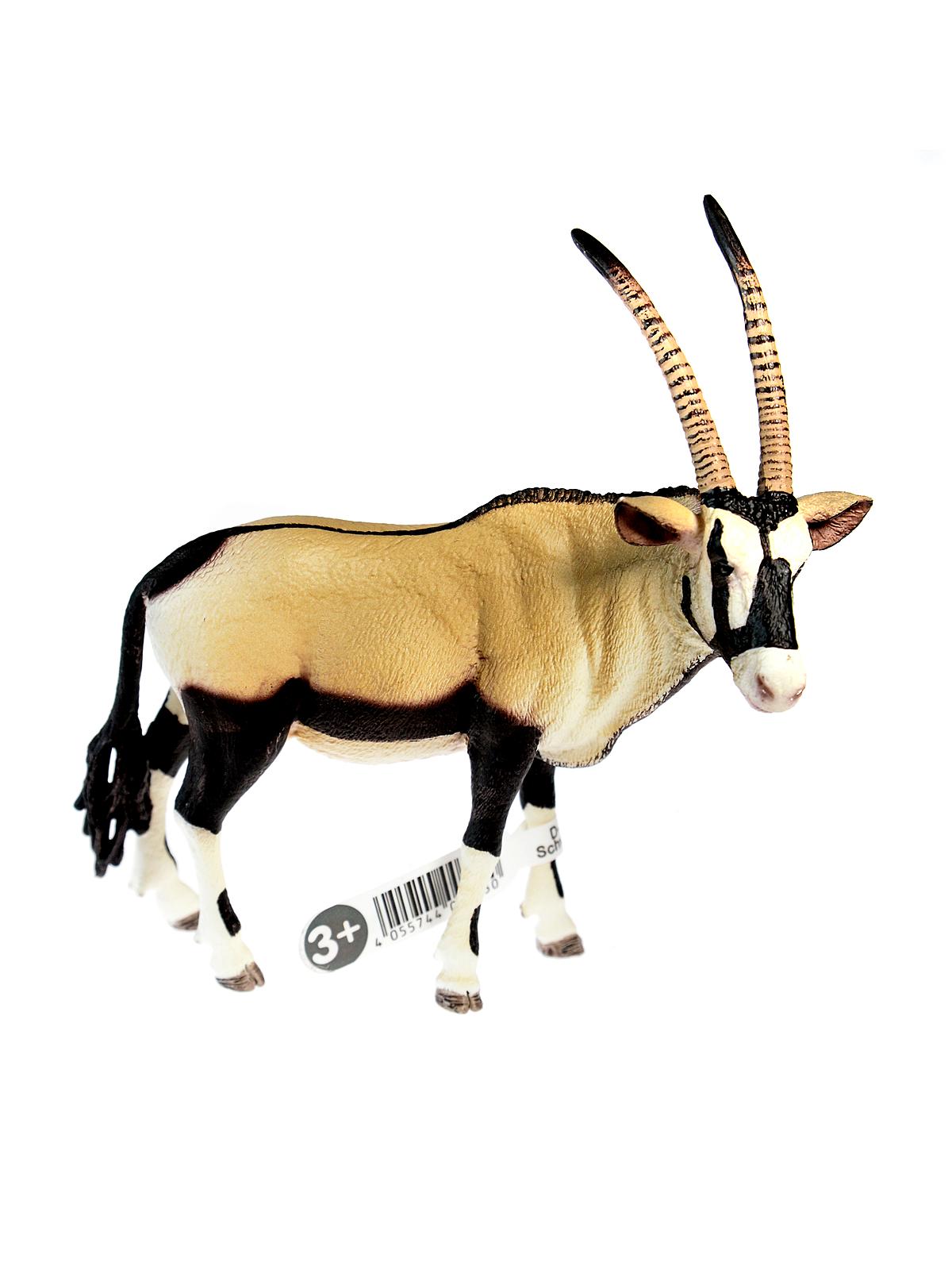 Wild Life Animals Oryx