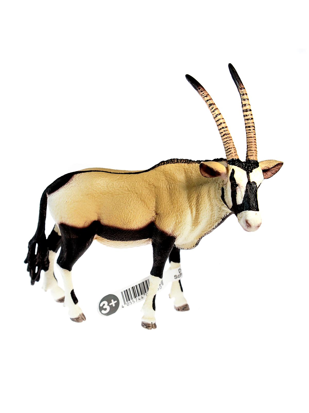 Wild Life Animals oryx