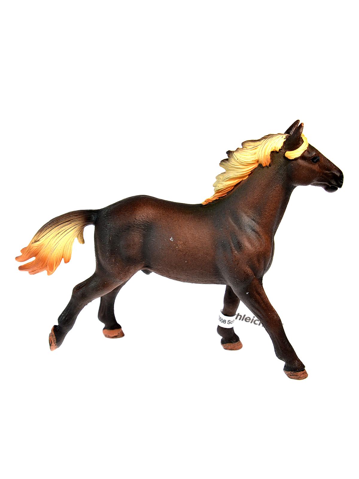 Farm World Animals Mustang stallion
