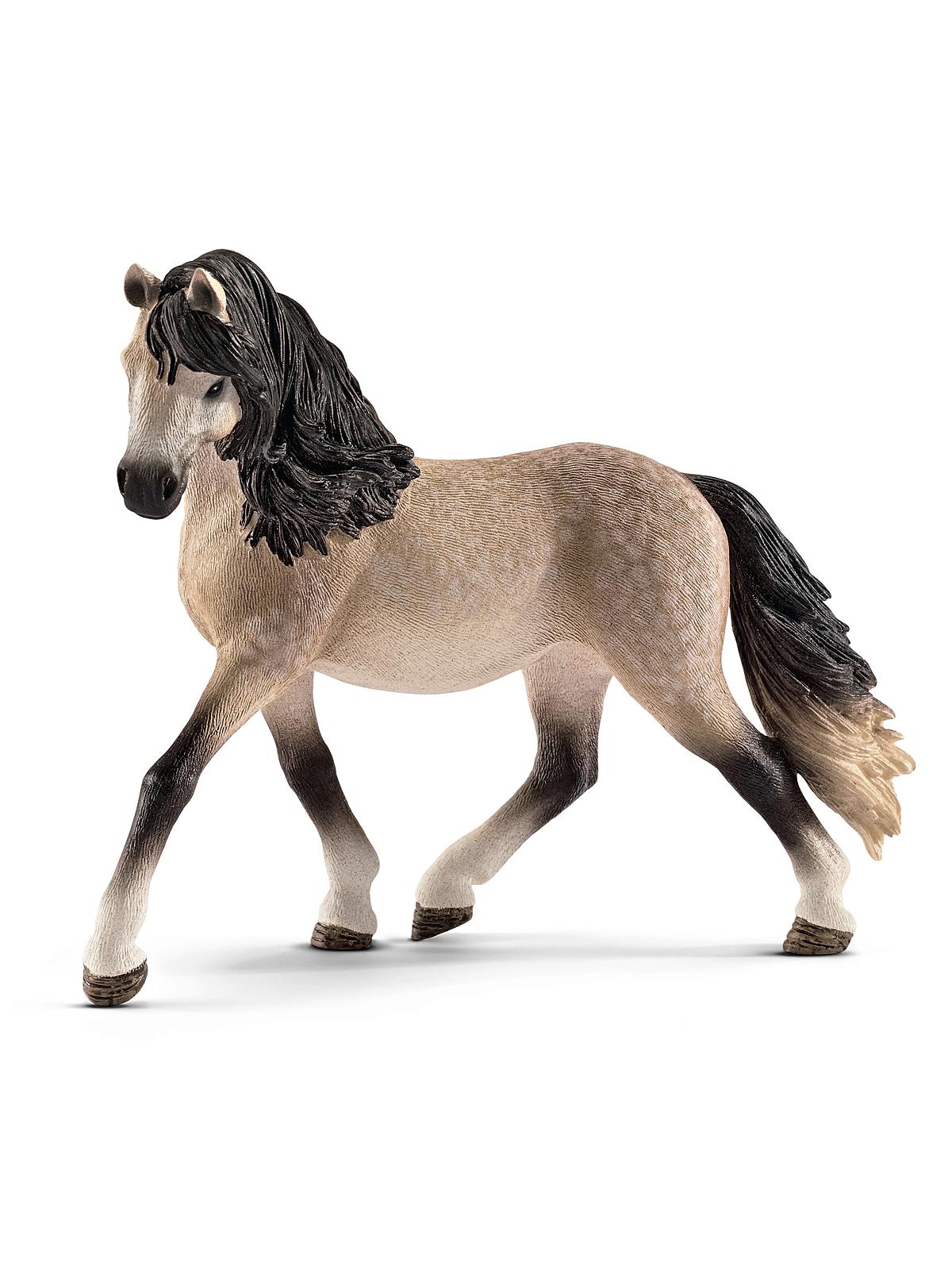 Horse Club Andalusian mare