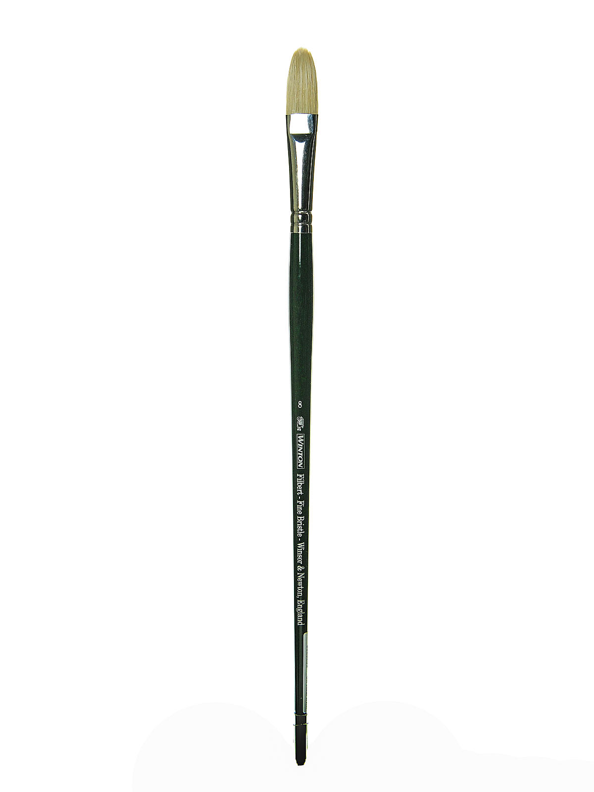 Winton Hog Brushes 8 filbert