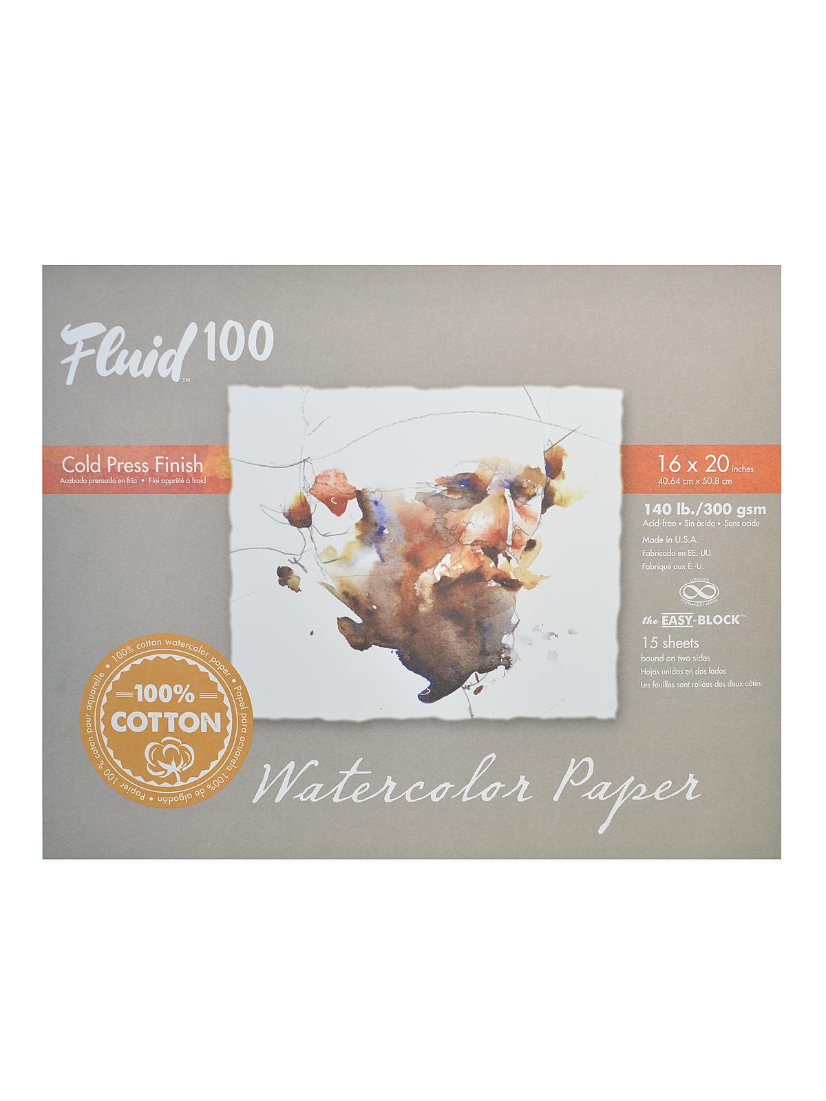 100 Watercolor Paper EZ Blocks 140 Lb. Cold Press 16 In. X 20 In. 15 Sheets