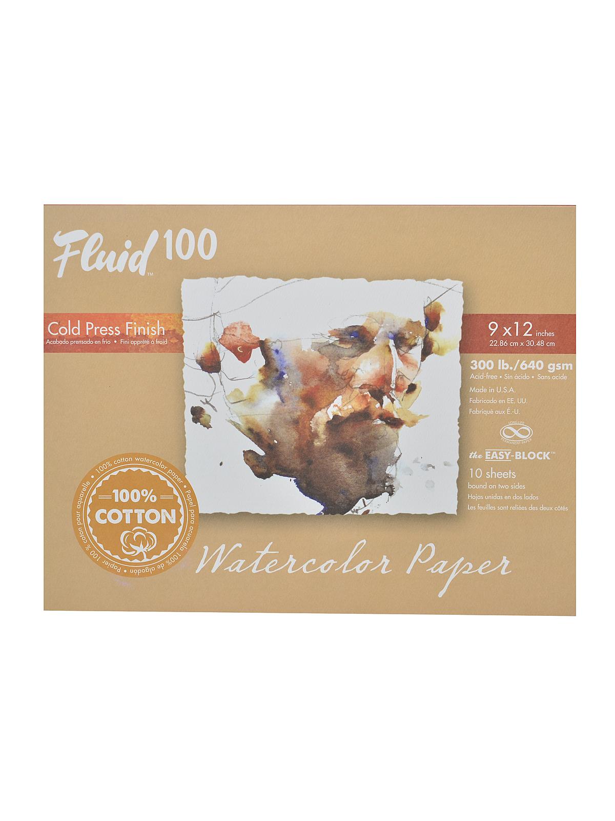 100 Watercolor Paper EZ Blocks 300 Lb. Cold Press 9 In. X 12 In. 10 Sheets