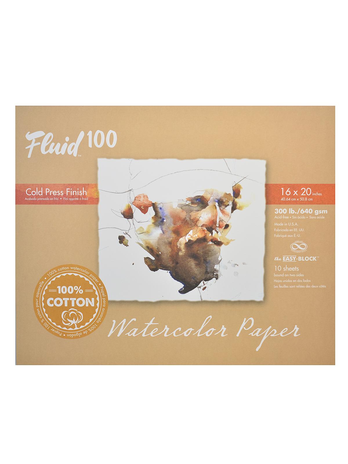 100 Watercolor Paper EZ Blocks 300 lb. cold press 16 in. x 20 in. 10 sheets