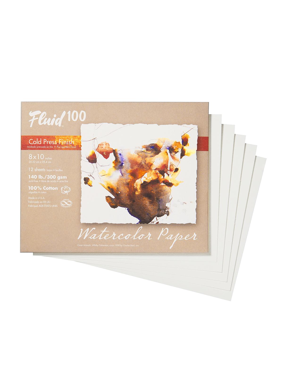100 Watercolor Paper Pochettes 140 lb. cold press 8 in. x 10 in. 12 sheets