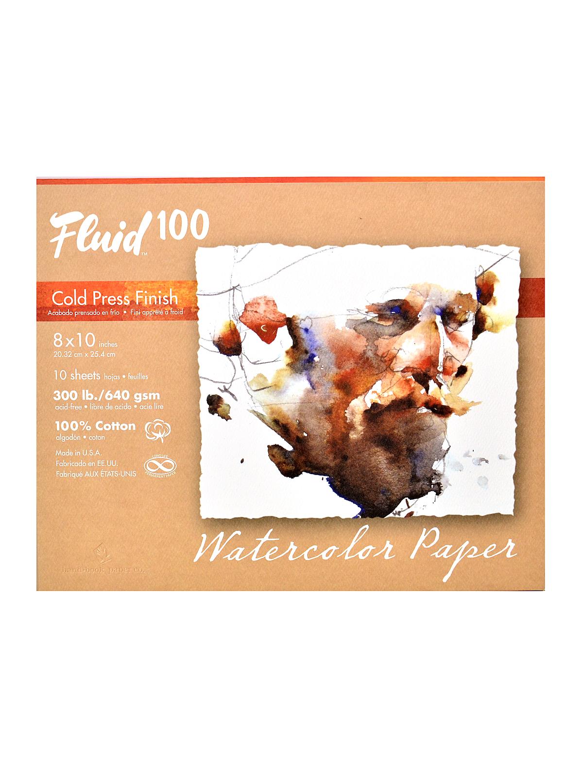 100 Watercolor Paper Pochettes 300 lb. cold press 8 in. x 10 in. 10 sheets