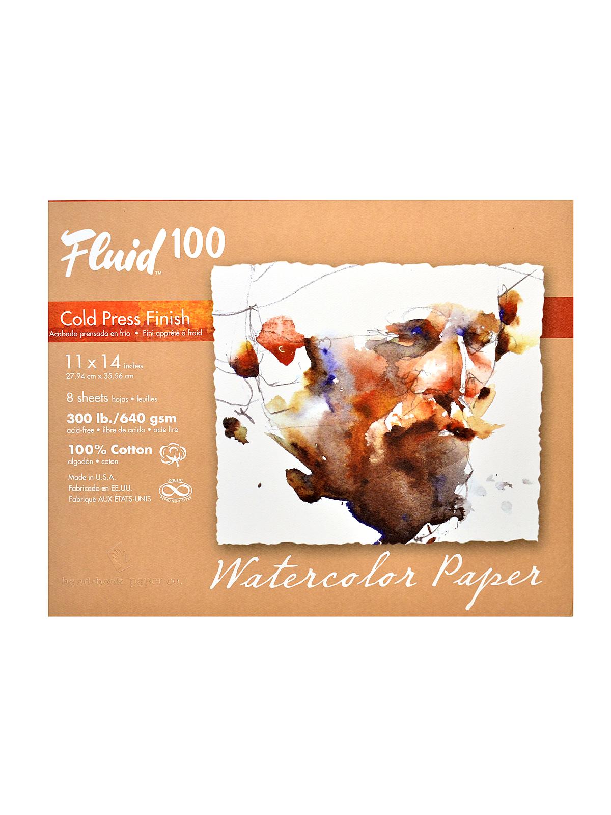 100 Watercolor Paper Pochettes 300 lb. cold press 11 in. x 14 in. 8 sheets
