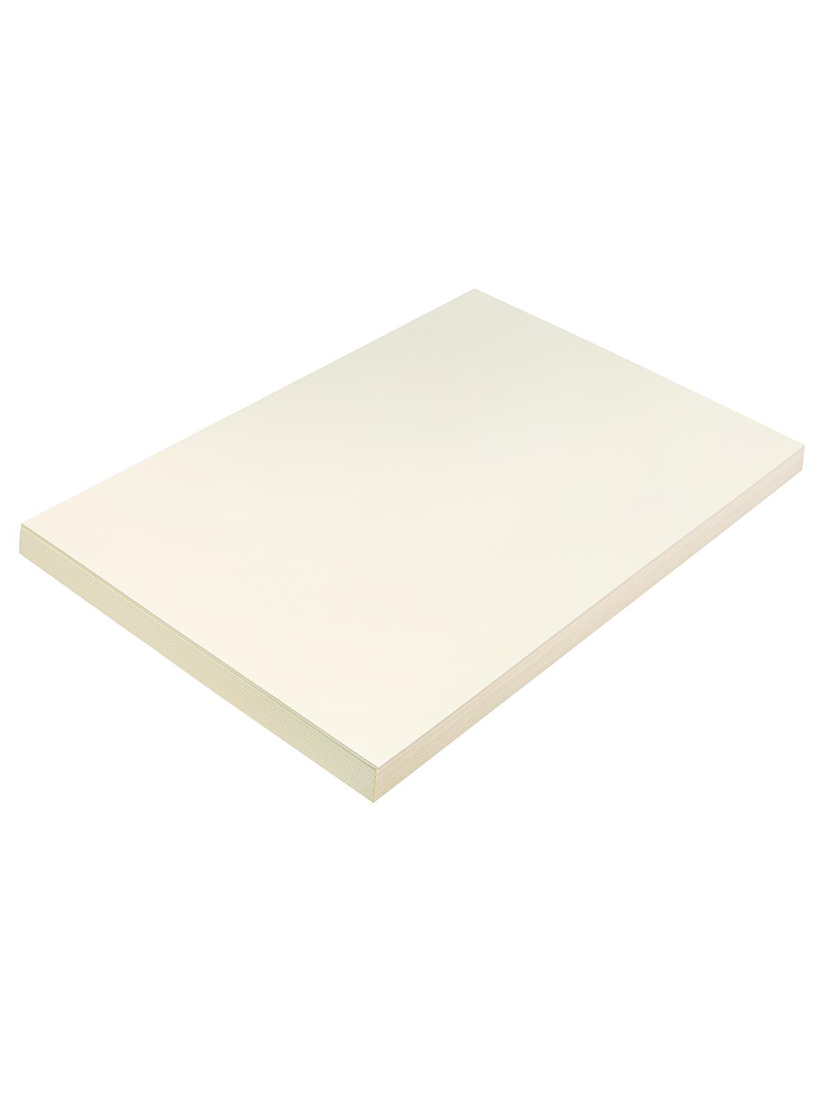 Tagboard 12 in. x 18 in. medium pack of 100
