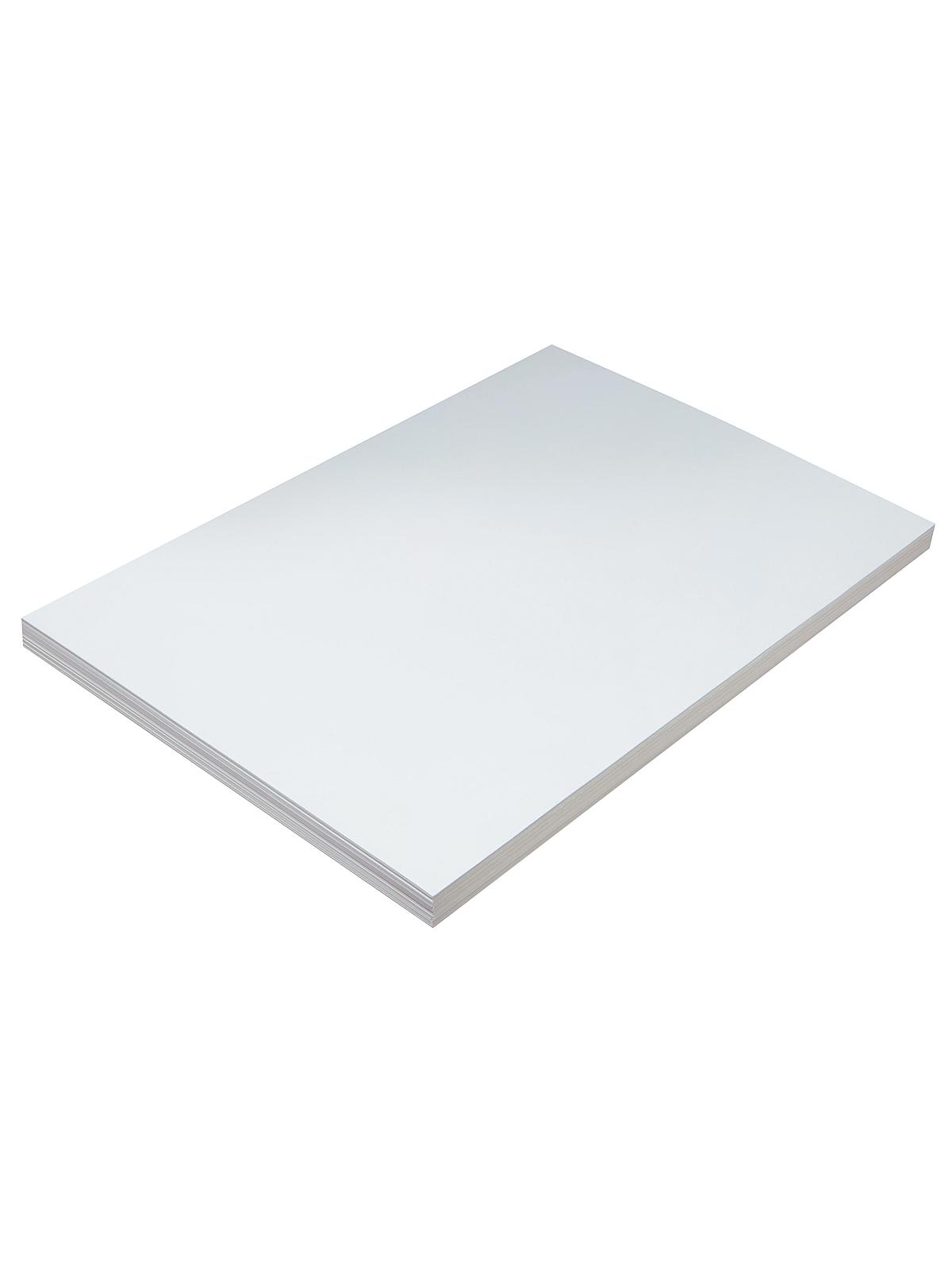 Tagboard 12 in. x 18 in. light pack of 100