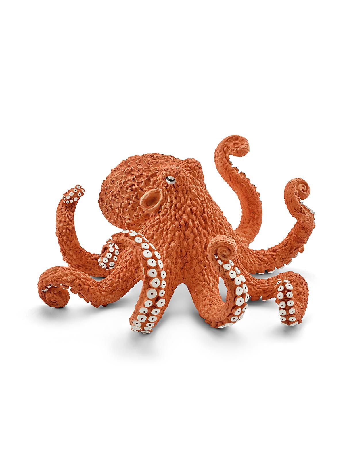 Wild Life Animals Octopus