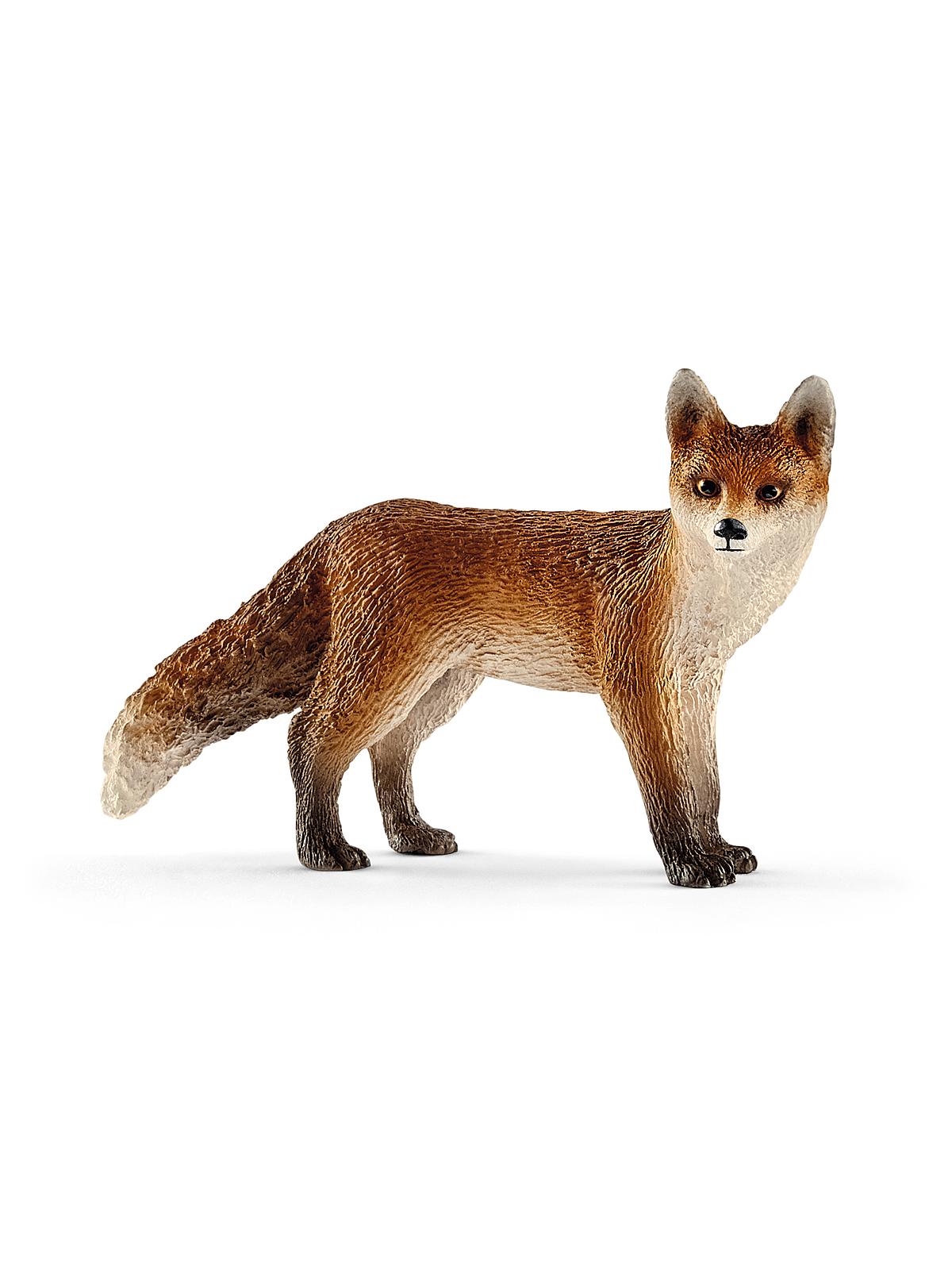 Wild Life Animals Fox