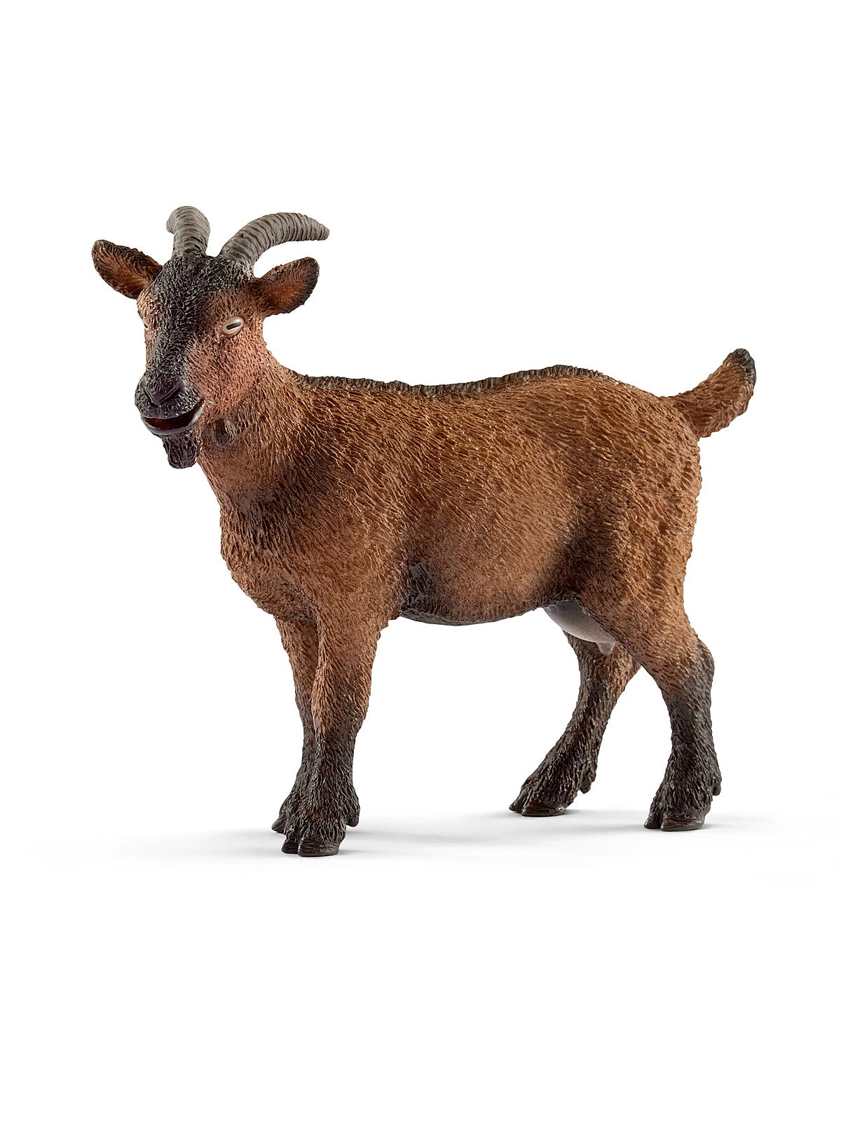 Farm World Animals Goat