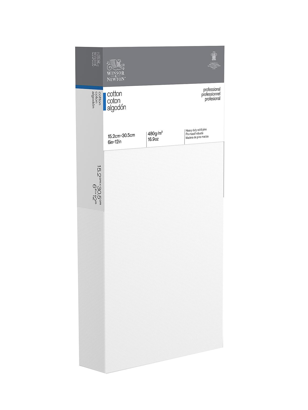 Professional Cotton Stretched Canvas Deep Edge 6 in. x 12 in.