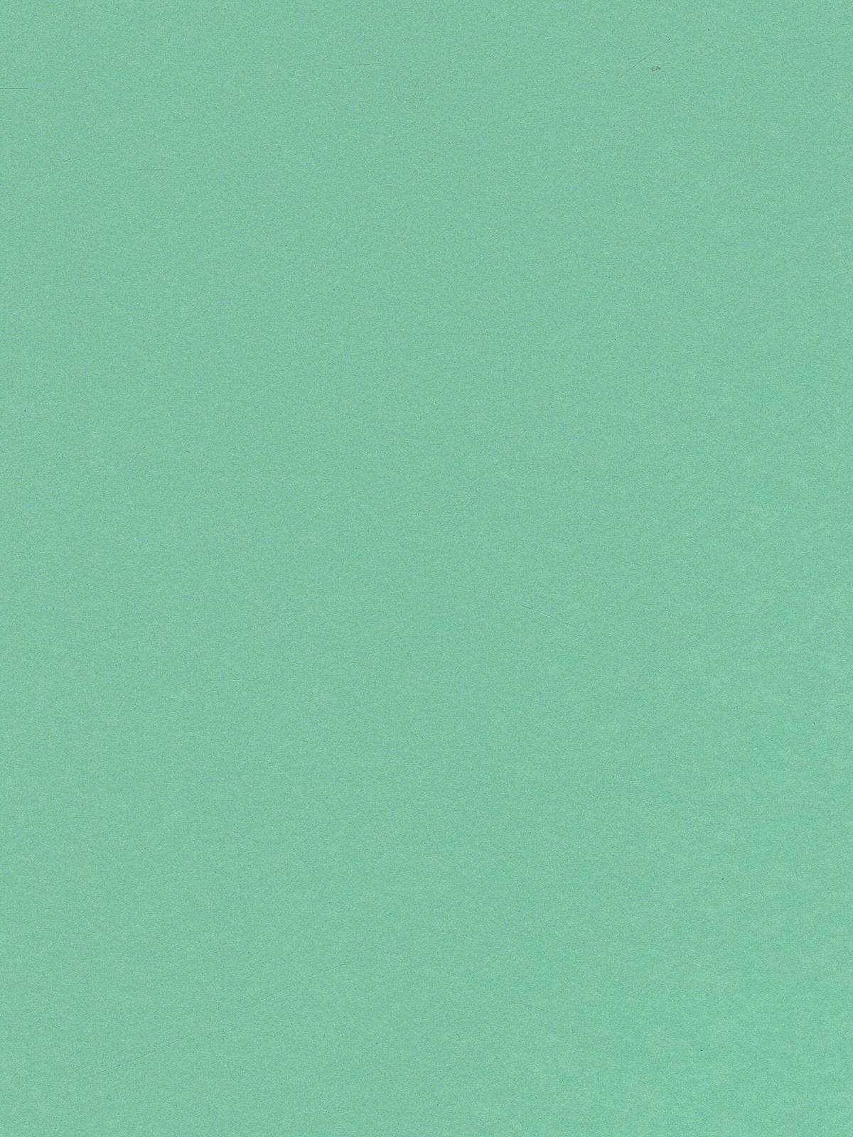 Art Card mint 8.5 in. x 11 in.