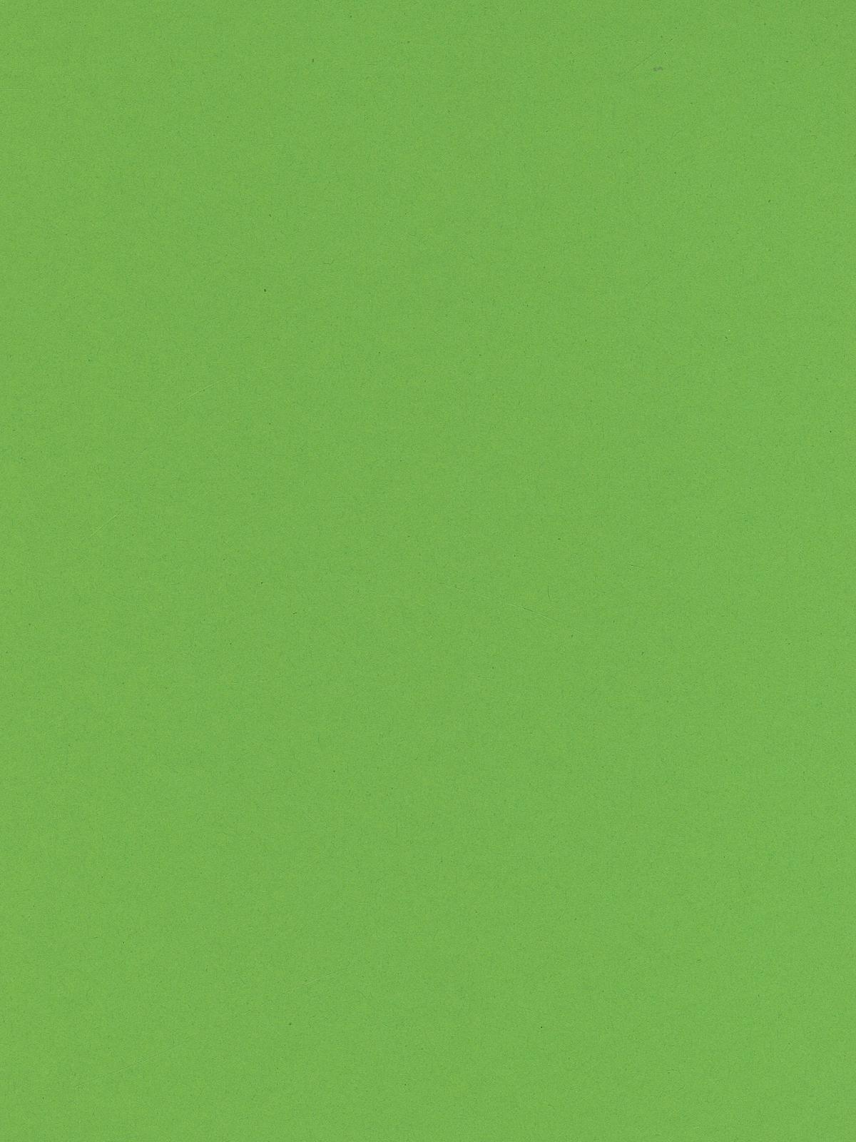 Art Card light green 8.5 in. x 11 in.