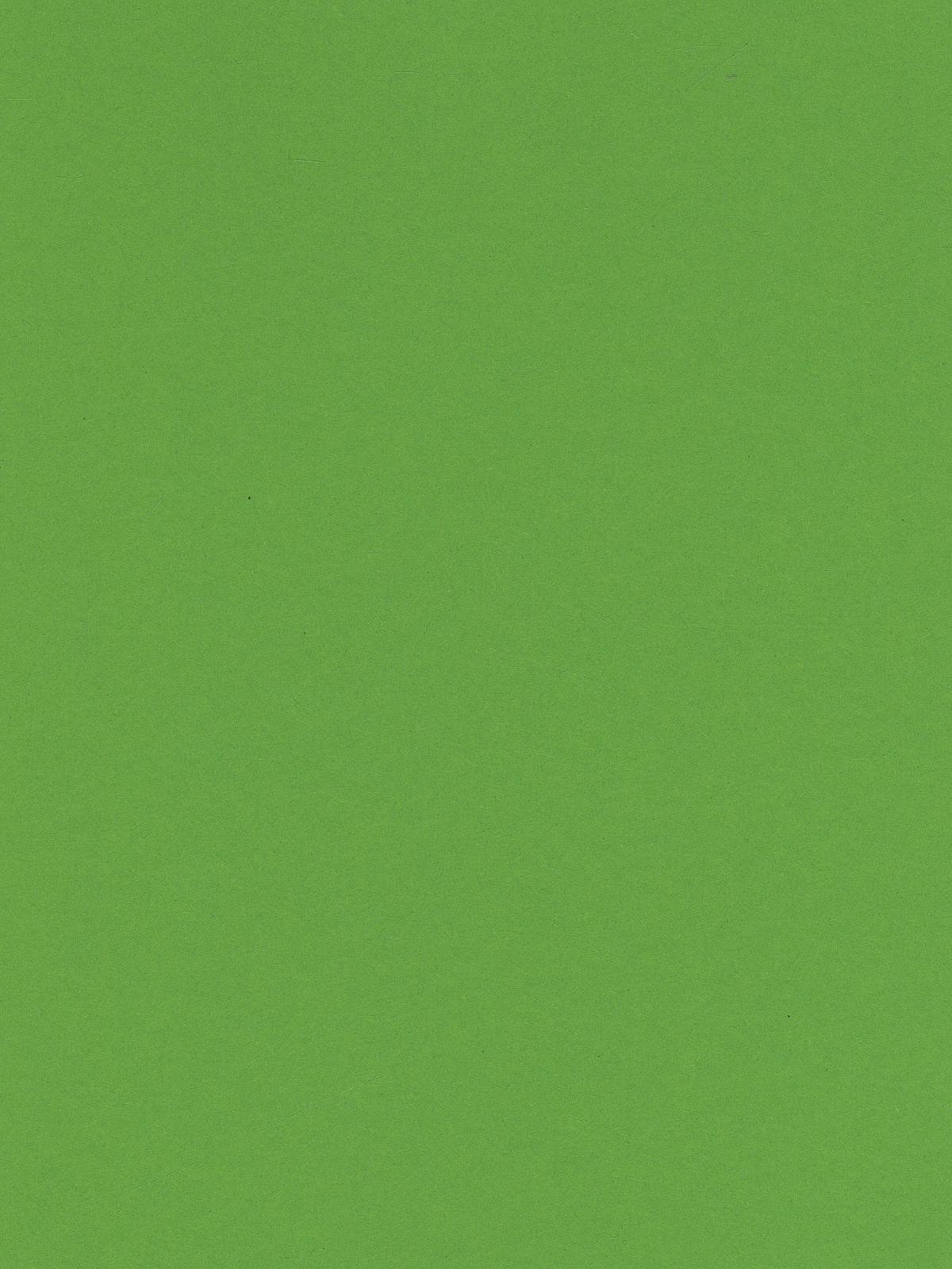 Art Card grass green 8.5 in. x 11 in.