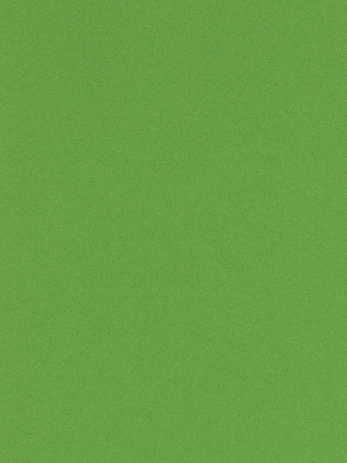 Art Card Grass Green 8.5 In. X 11 In.