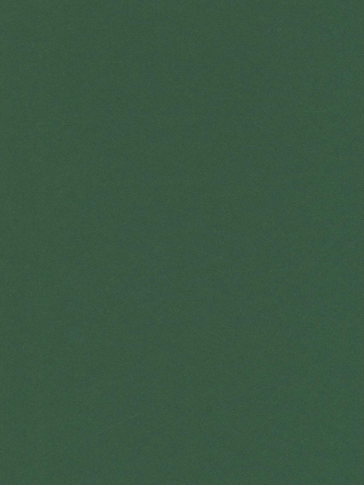 Art Card fir green 8.5 in. x 11 in.