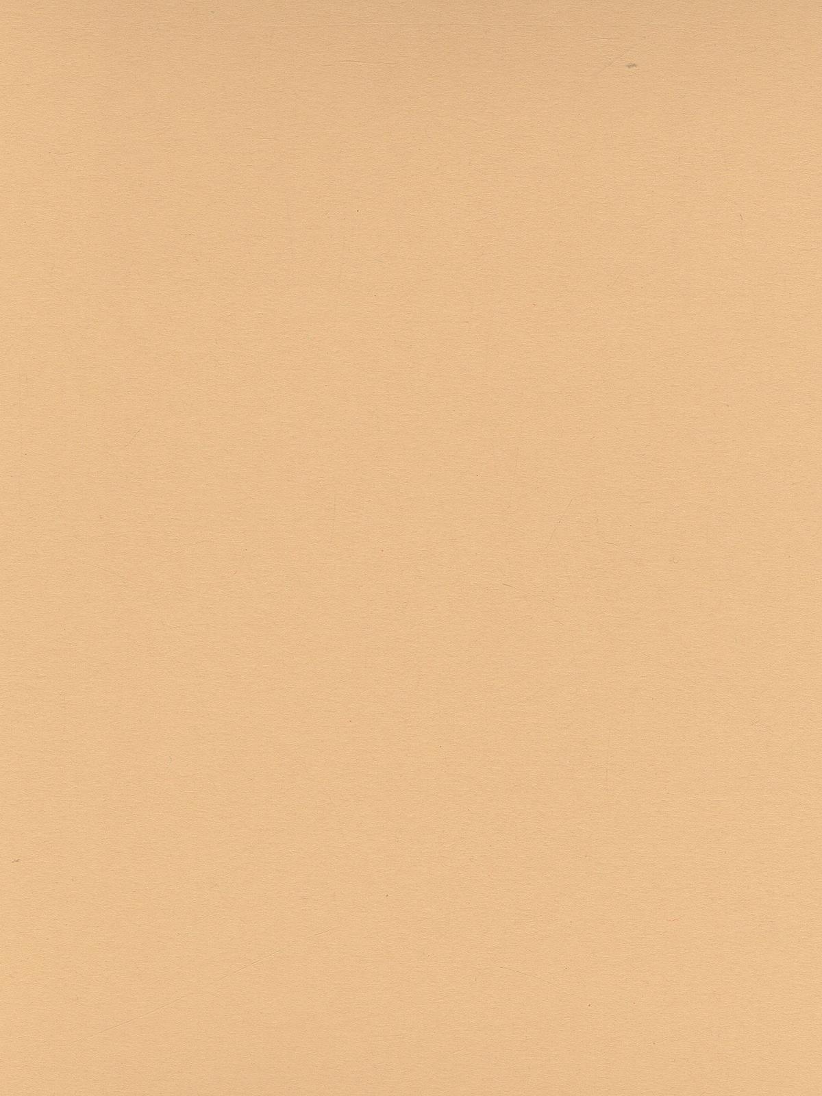 Art Card chamois 8.5 in. x 11 in.