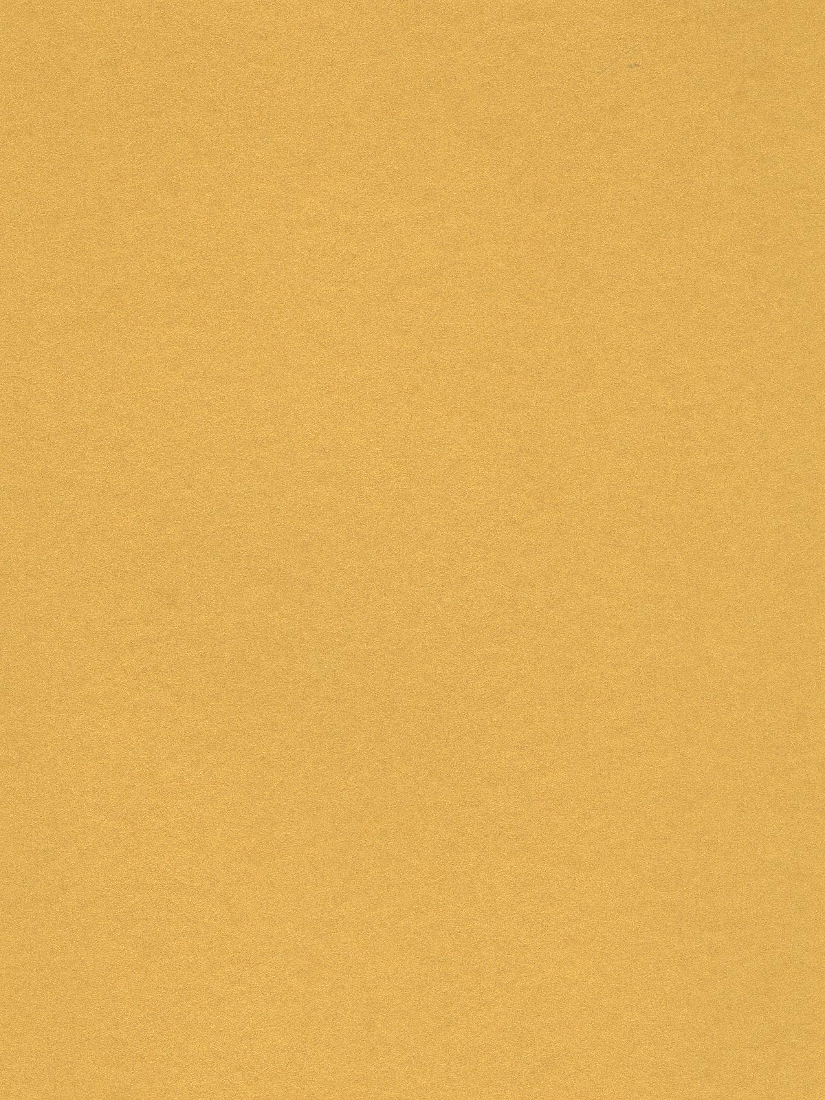 Art Card metallic gold 8.5 in. x 11 in.