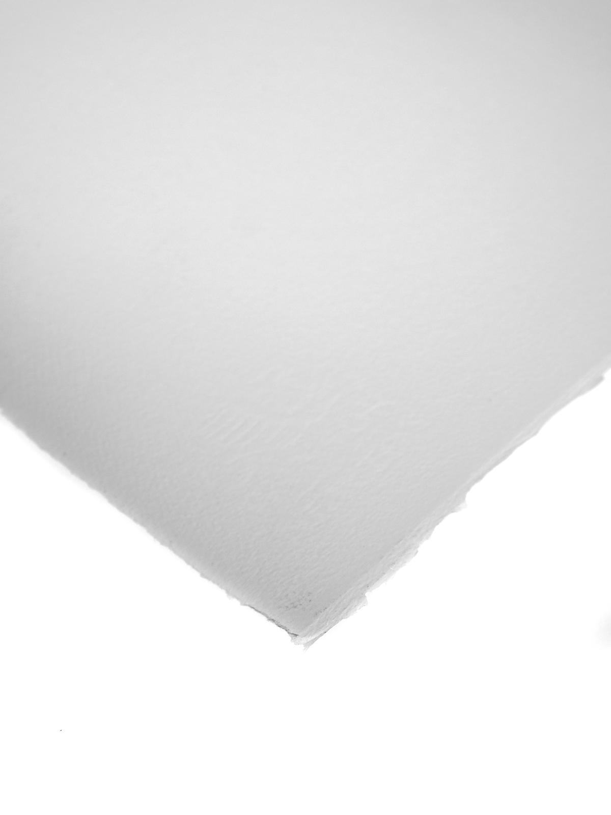 Professional Water Colour Paper Sheets 140 lb. cold pressed 22 in. x 30 in.