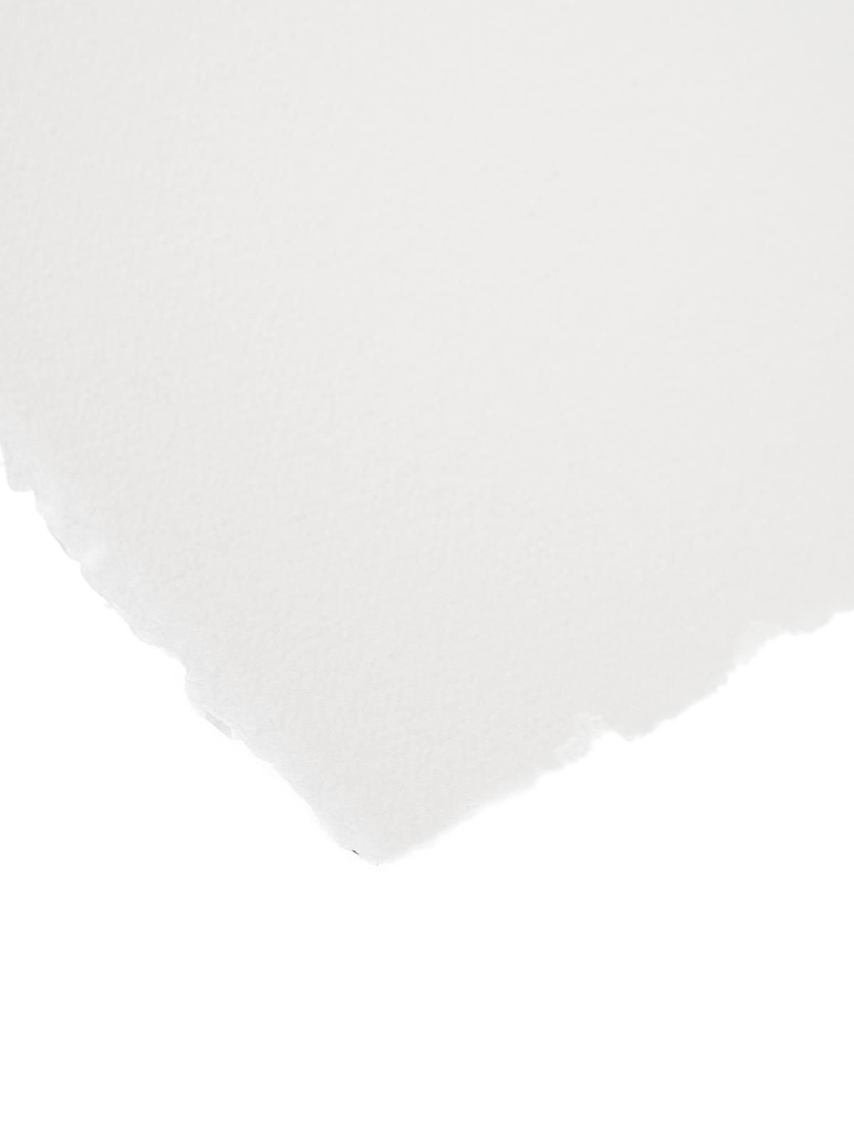 Professional Water Colour Paper Sheets 300 lb. cold pressed 22 in. x 30 in.