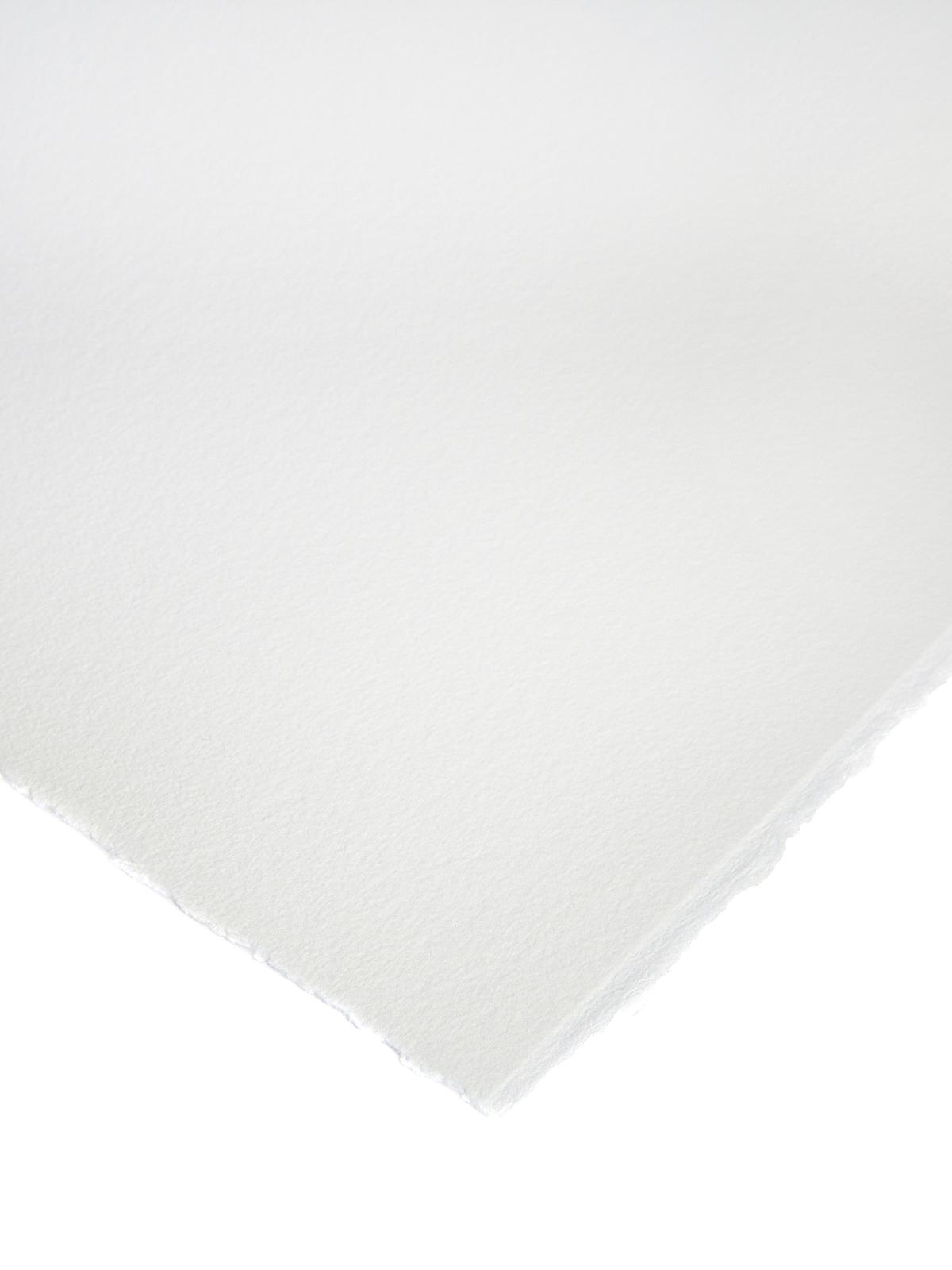 Professional Water Colour Paper Sheets 300 lb. rough 22 in. x 30 in.
