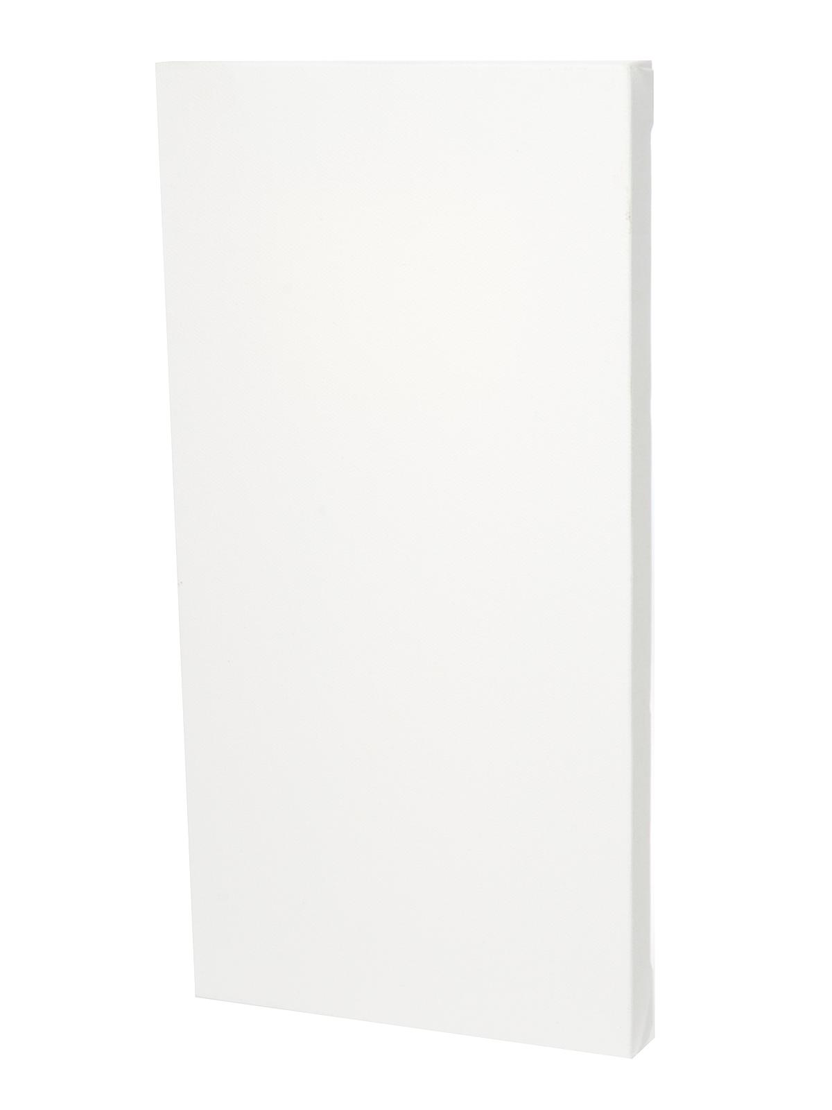 Vincent Pro Monterey Stretched Cotton Canvas 6 in. x 12 in. each
