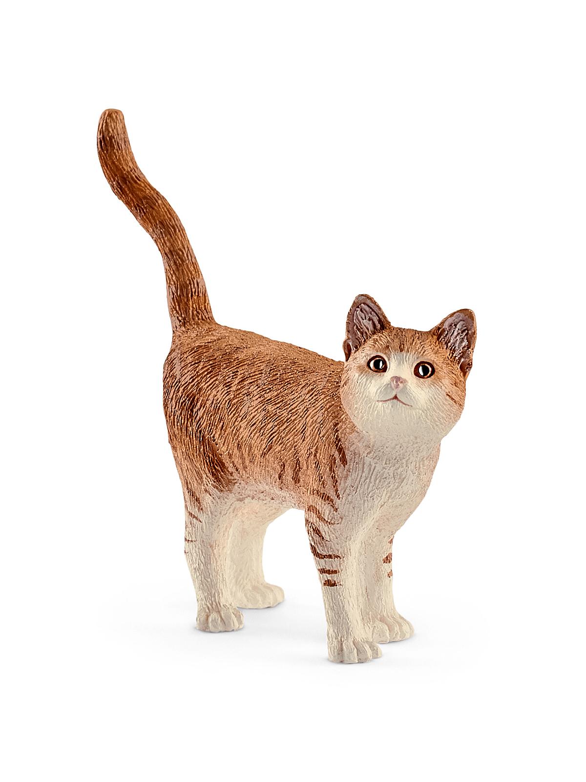 Farm World Animals cat