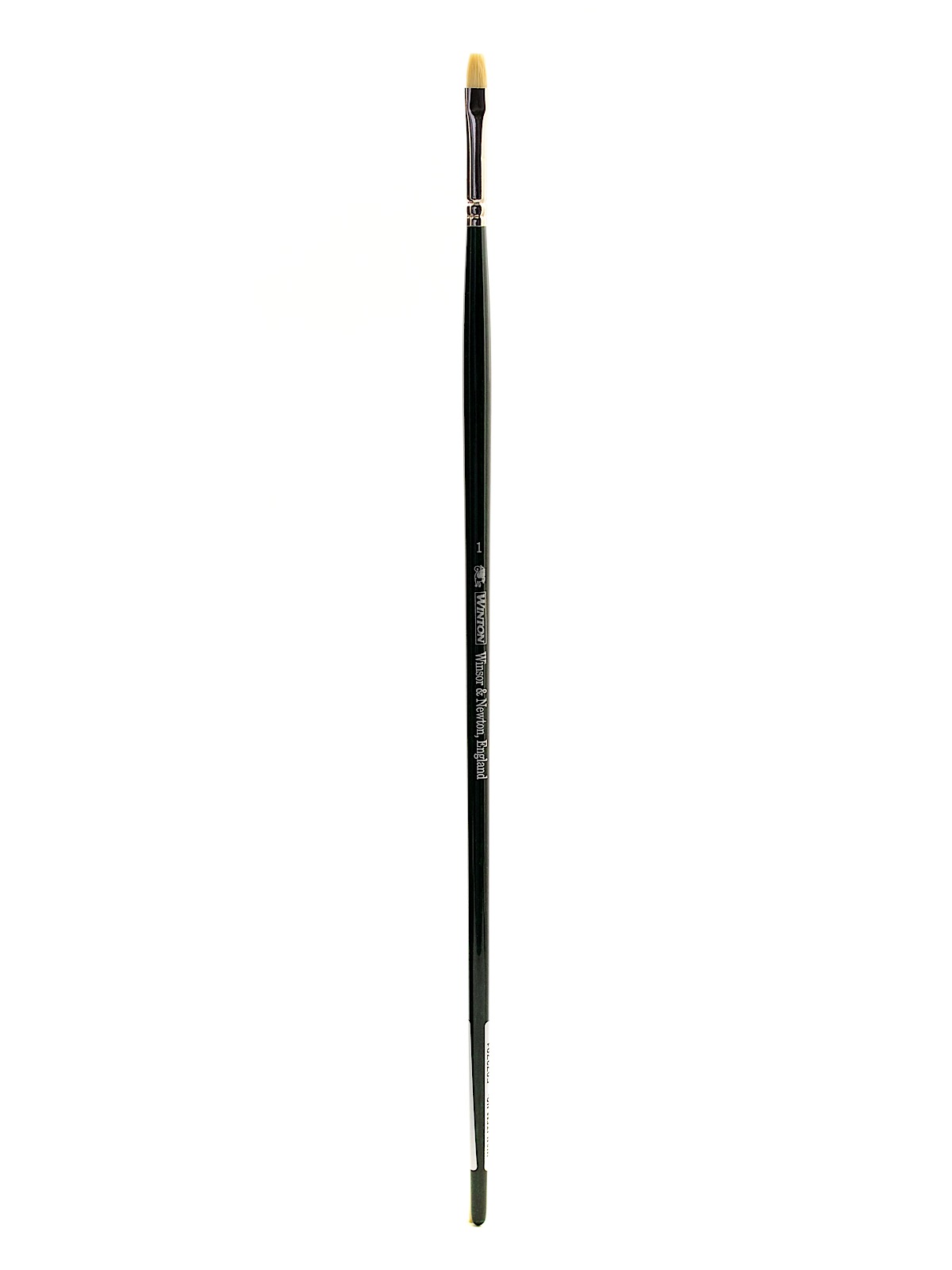 Winton Hog Brushes 1 short flat bright