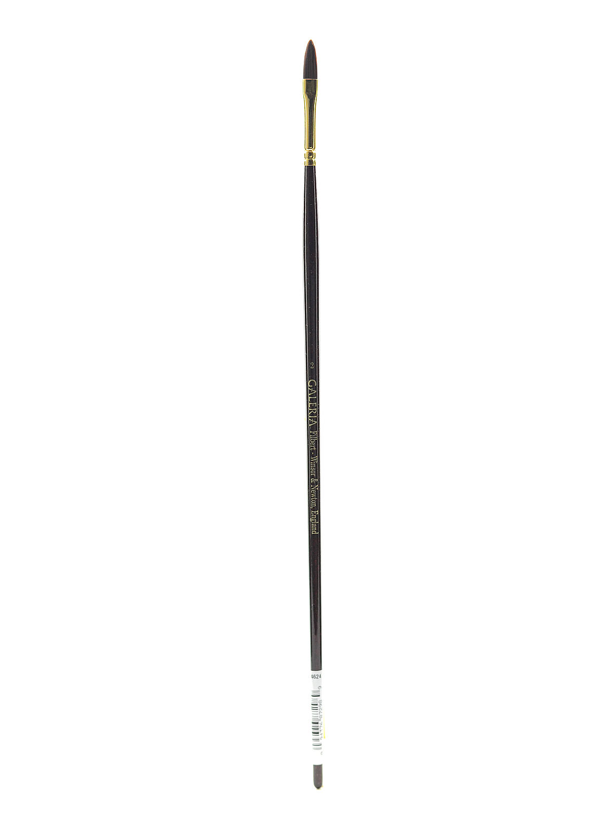 Galeria Long Handled Brushes 2 filbert