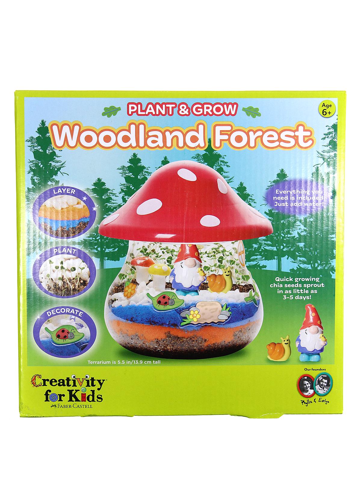 Plant & Grow Woodland Forest Kit