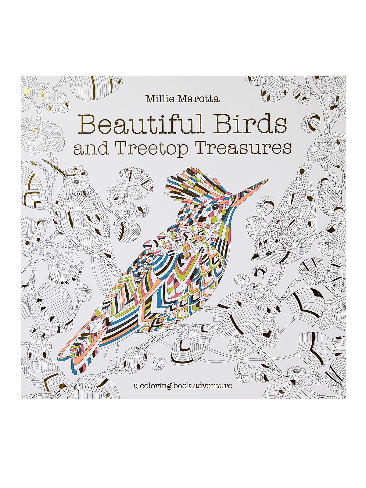 Coloring Books Beautiful Birds
