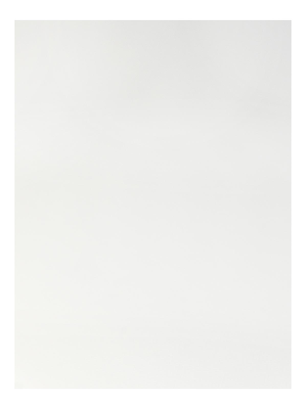 Mi-Teintes Mat Board white 32 in. x 40 in.