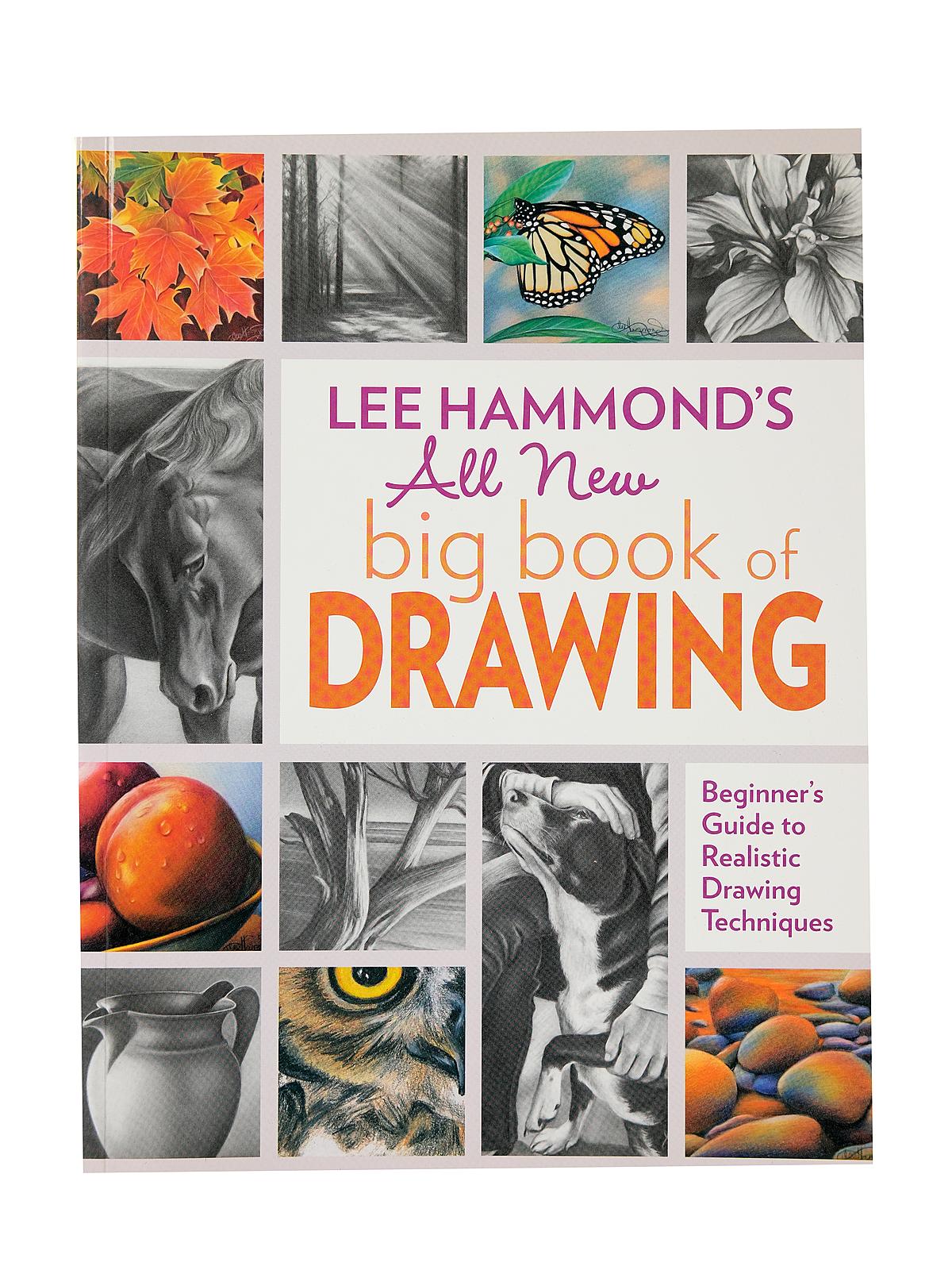 Lee Hammond's All New Big Book of Drawing each